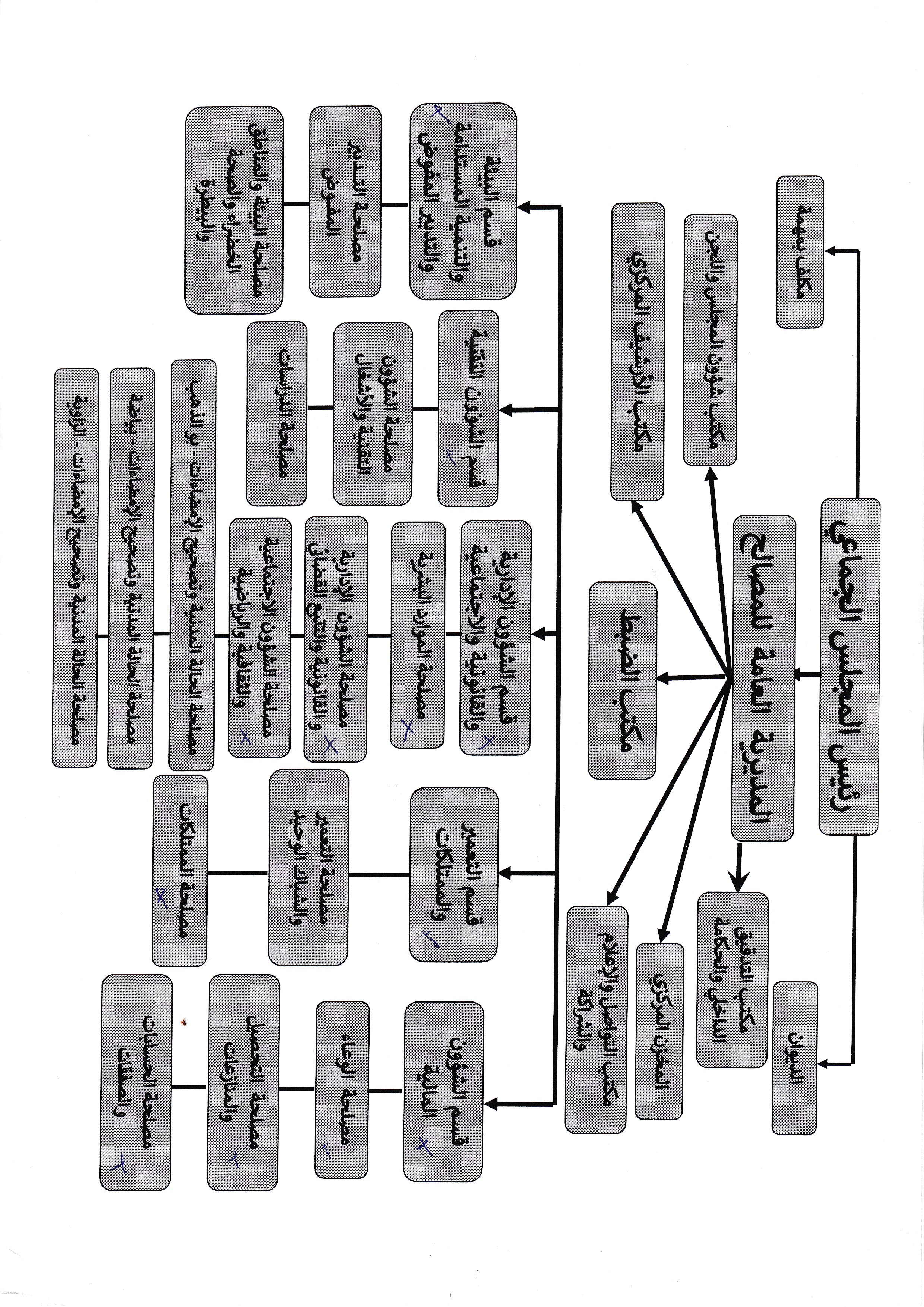 IORGANIGRAM